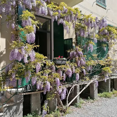 Il Giardino Di Elettra - Freeparking 2* Genua