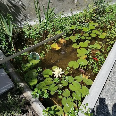Il Giardino Di Elettra - Freeparking 3* جنوة