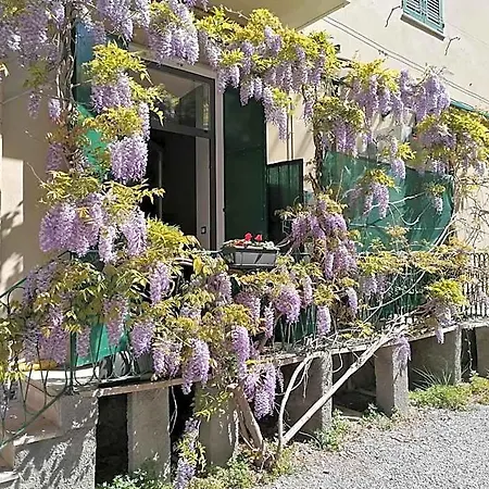 Il Giardino Di Elettra - Freeparking شقة فندقية جنوة