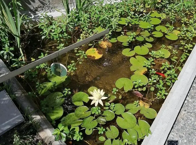 Il Giardino Di Elettra - Freeparking 3* Génova